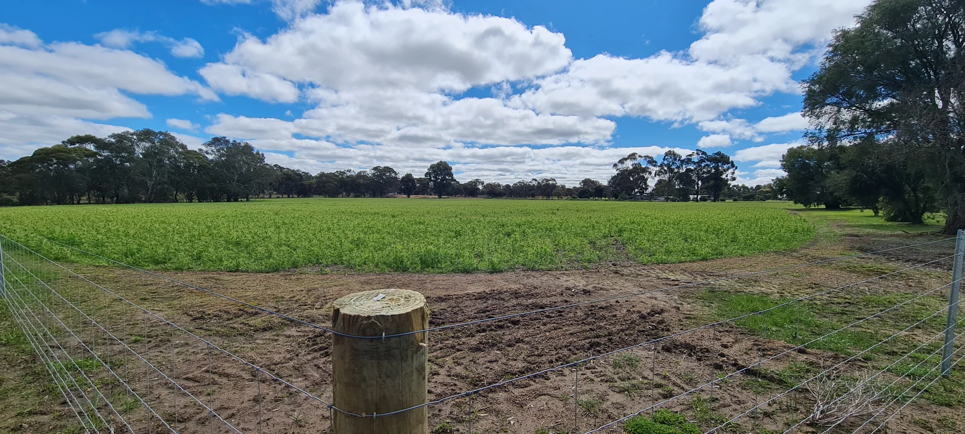 Additional image 10 of 147 Smuts Road, Kendenup WA 6323