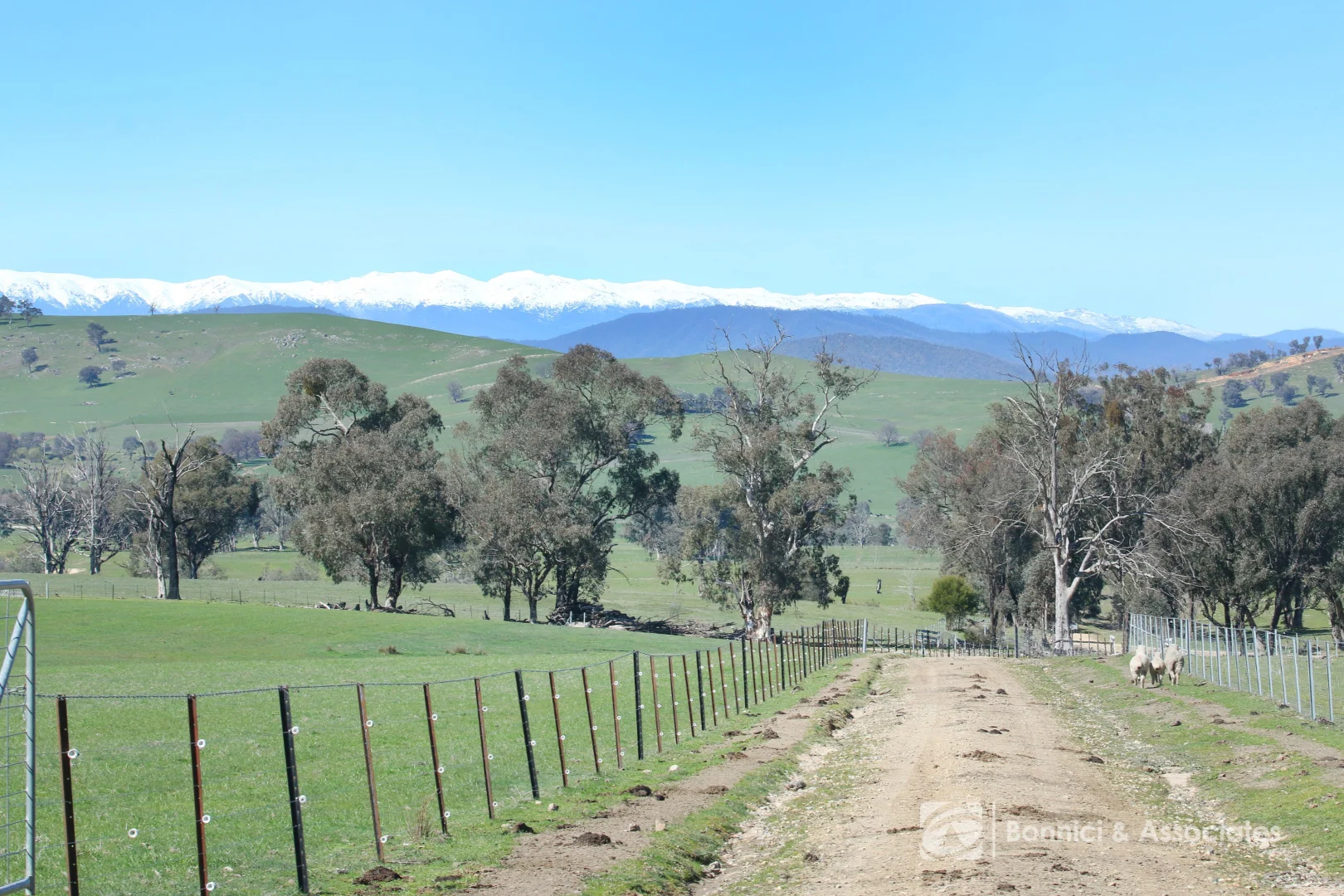 Additional image 16 of 192A Ross Lane, Cudgewa VIC 3705