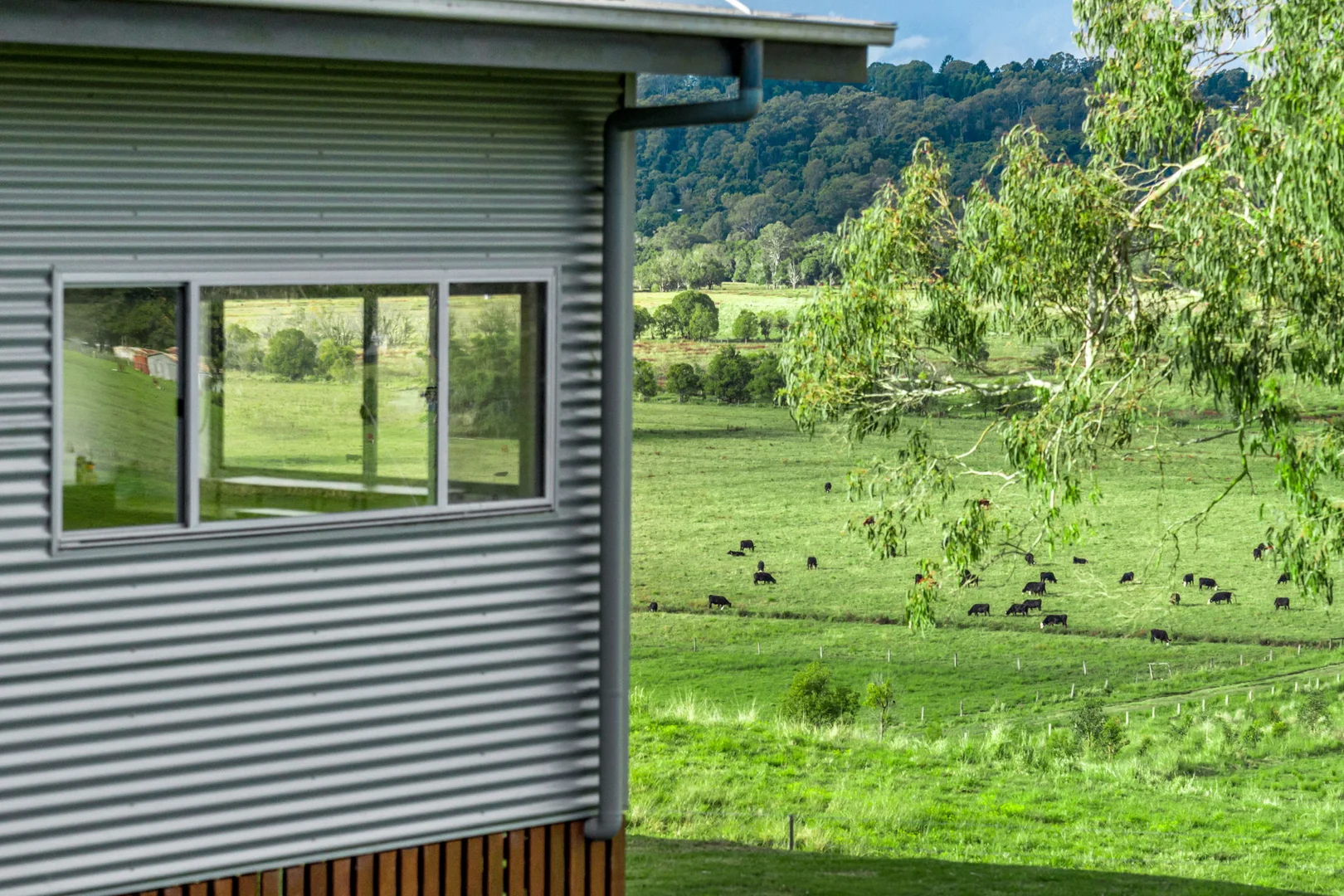 Additional image 40 of 1368 Wyrallah road, Tucki Tucki NSW 2480