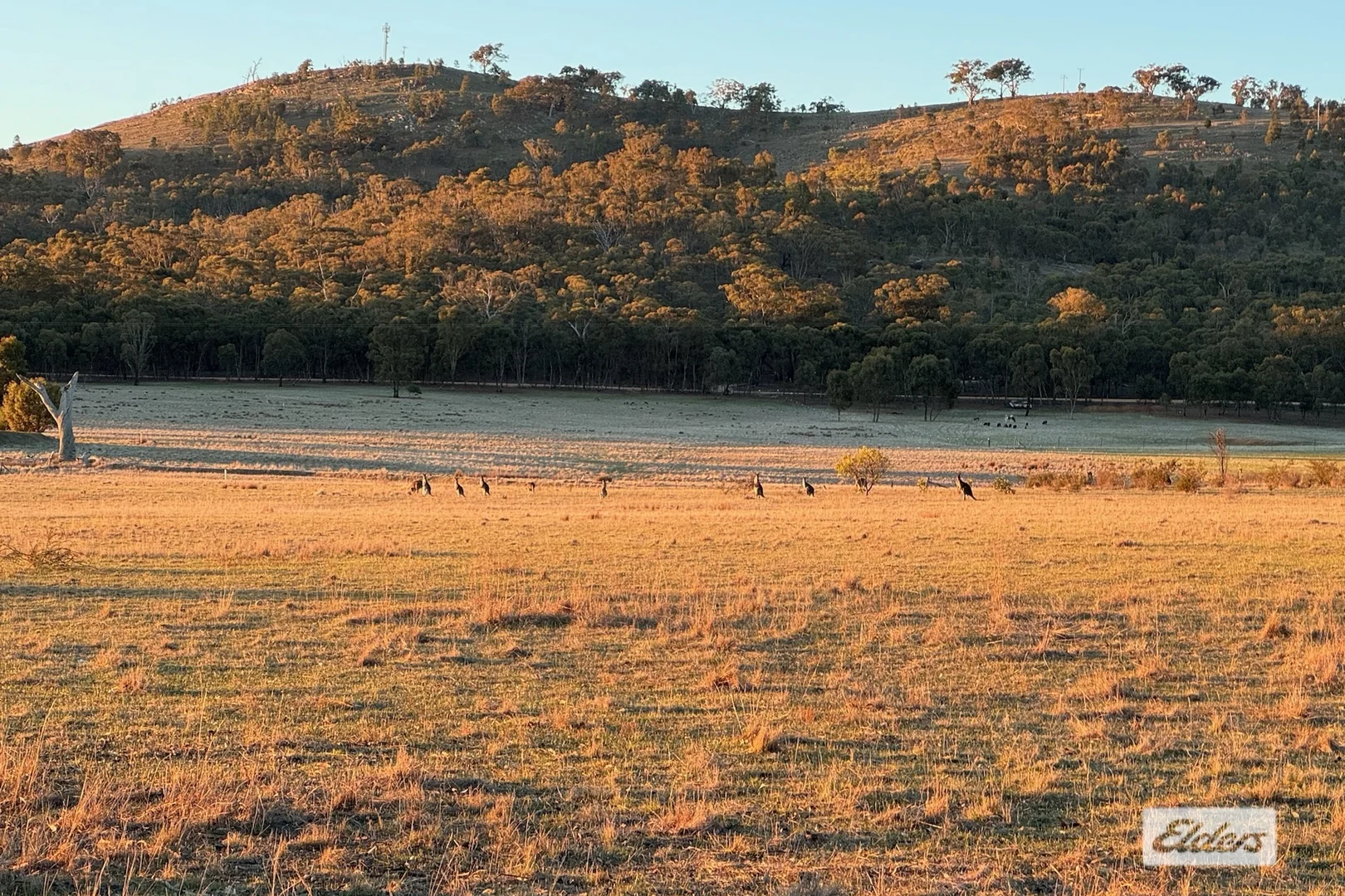 Additional image 21 of 417 Amarant Road, Landsborough VIC 3384