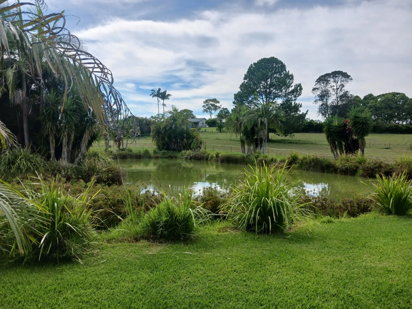 Additional image 10 of 14 Williams Road, Bonville NSW 2450