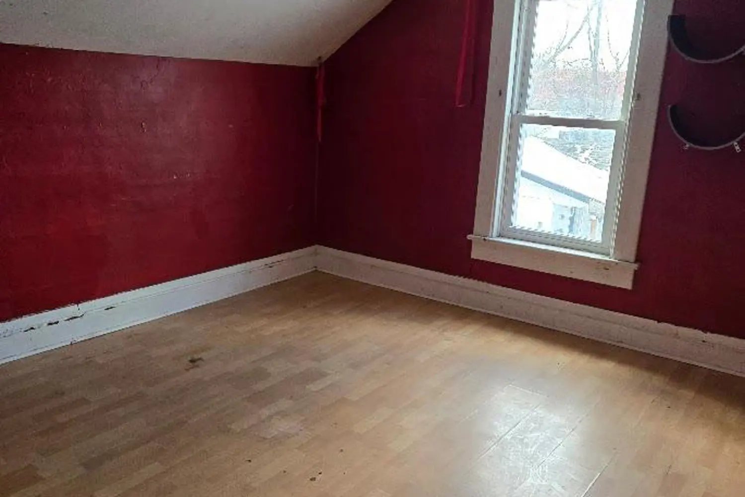 Additional image 11 of 4340 Elgin Street