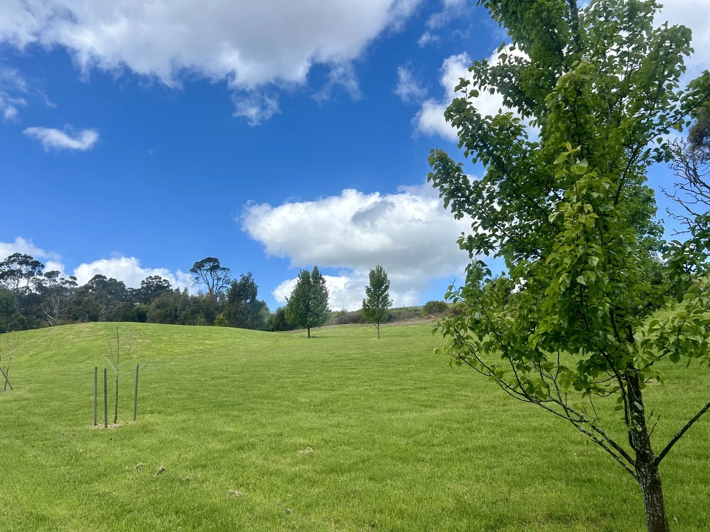 Additional image 6 of 1240 Daylesford-Trentham Road, Lyonville VIC 3461