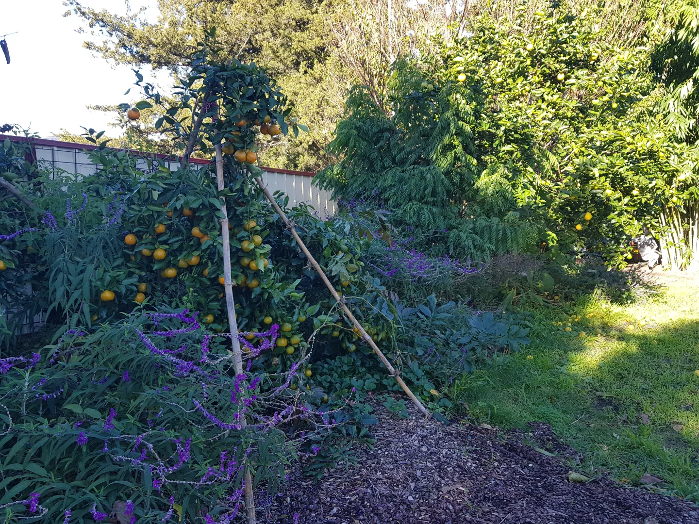 Additional image 28 of 3772 The Bucketts Way, Krambach NSW 2429