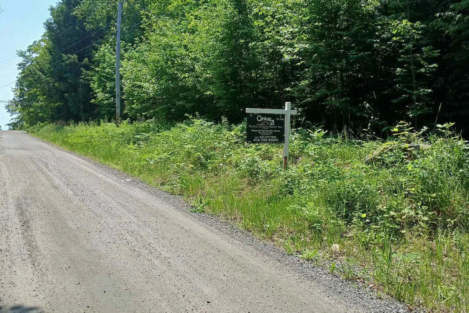 Additional image 4 of 1055 Porkys Road