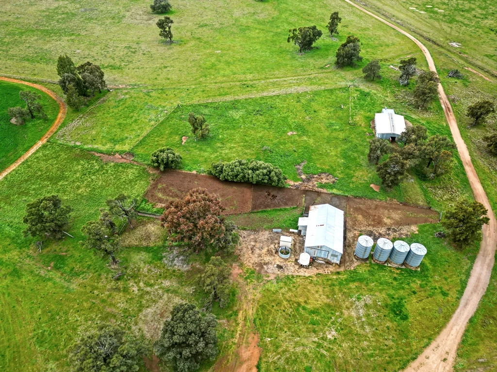 Additional image 6 of 594 Burrangong Lane, Bland NSW 2721