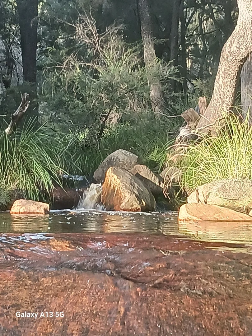 Additional image 14 of Tenterfield NSW 2372