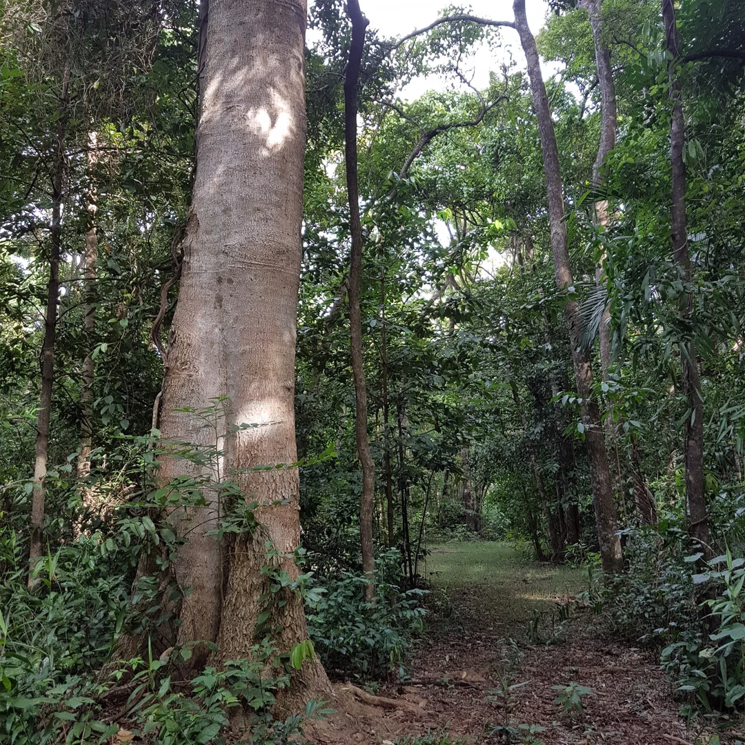 Additional image 23 of 29 Railway Avenue, Cooktown QLD 4895