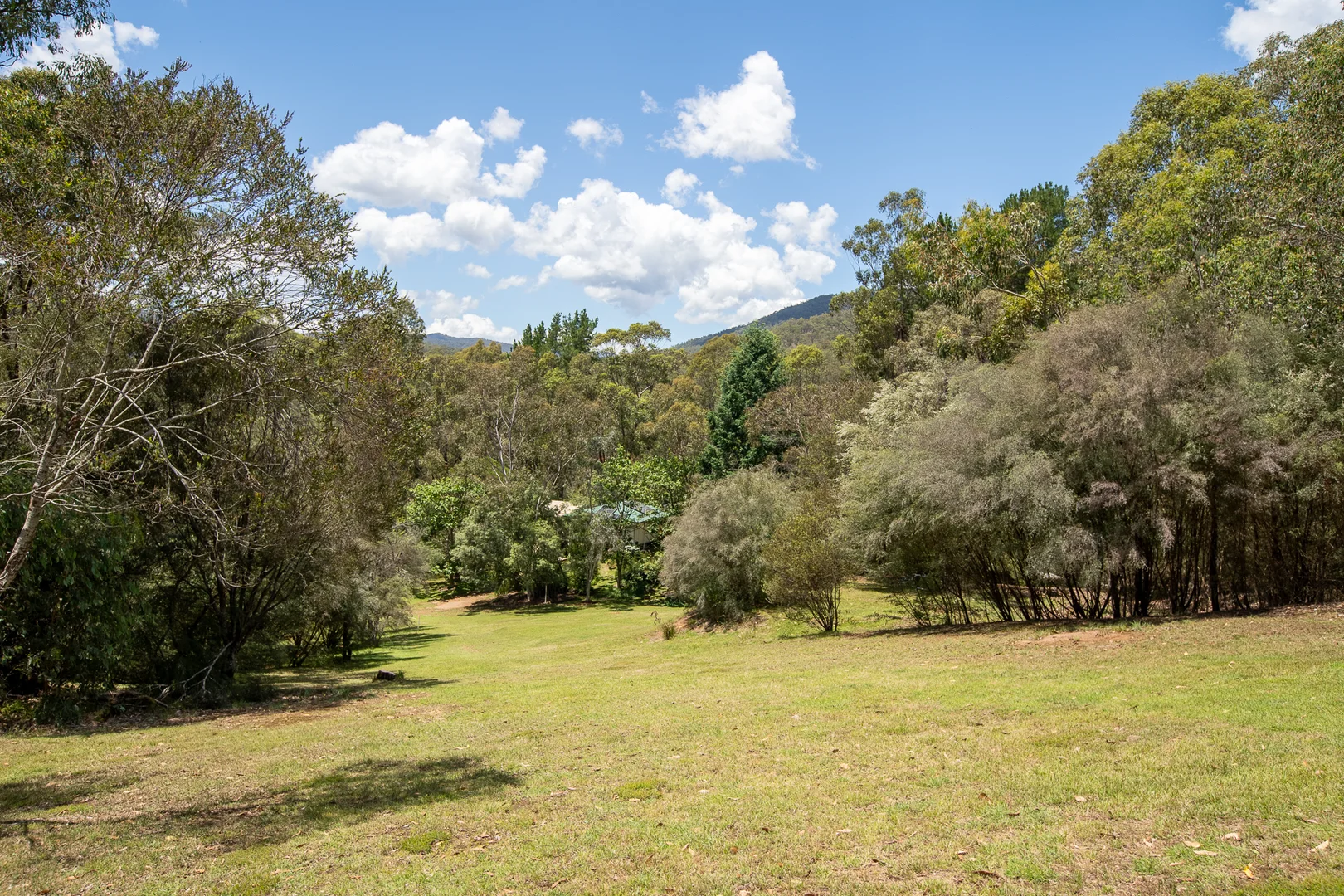 Additional image 9 of 1 & 2 WOMBAT GULLY ROAD, Mitta Mitta VIC 3701