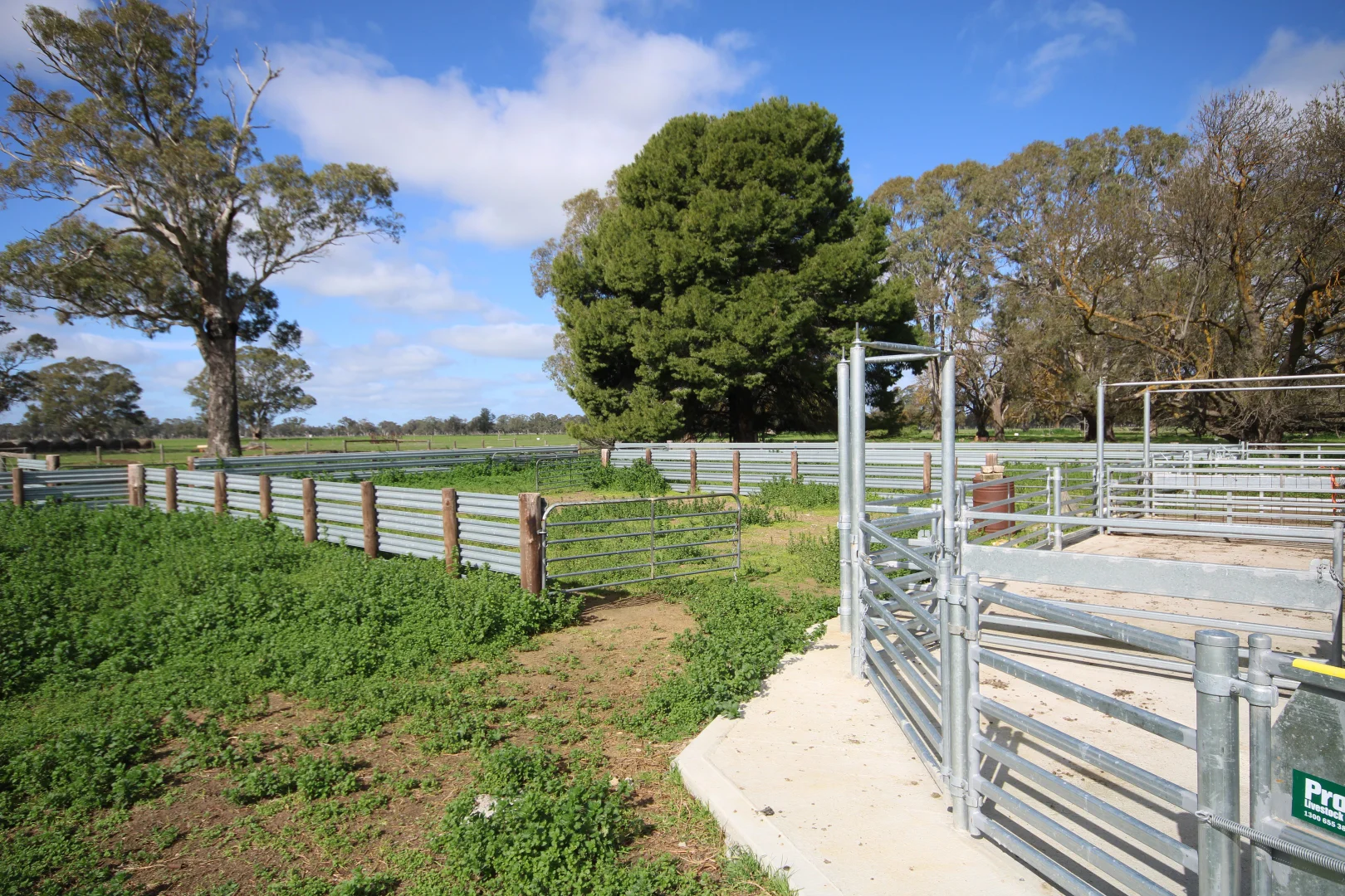 Additional image 9 of 202 Malones Road, Naracoorte SA 5271