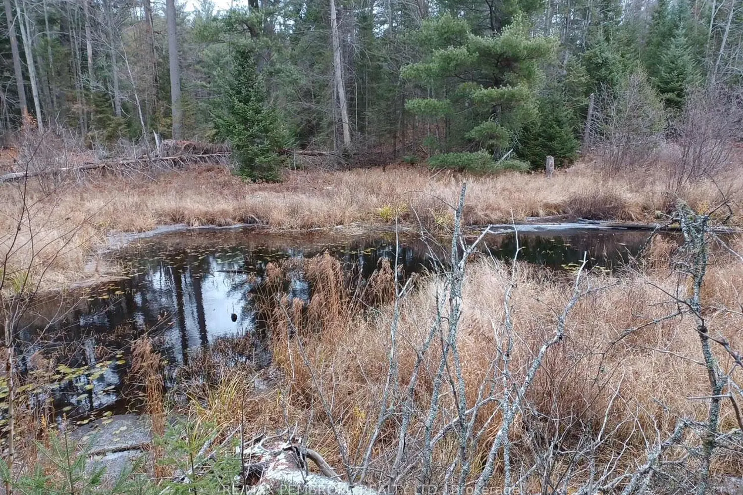 Additional image 7 of 1678 Locksley Road