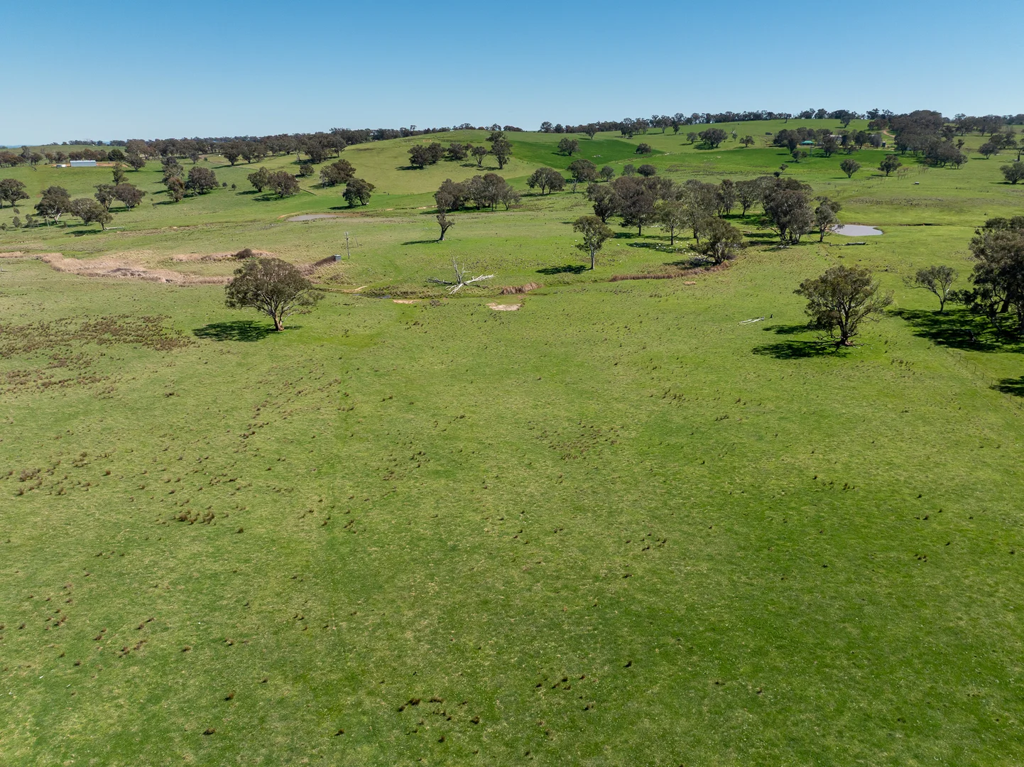 Additional image 17 of 2829 Cargo Road, Orange NSW 2800