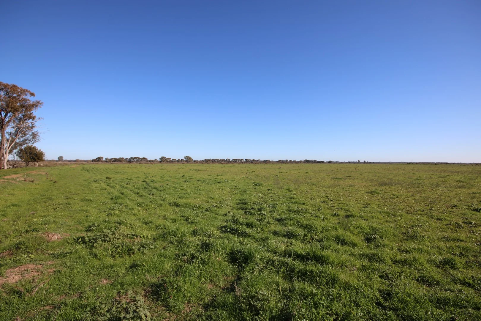 Additional image 16 of 221 Frosts Road, Canary Island VIC 3537