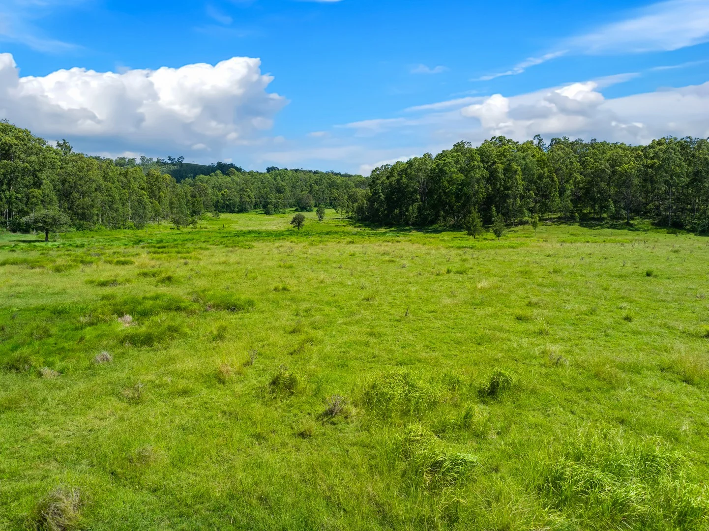 Additional image 2 of 57 Hancocks road, Piora NSW 2470