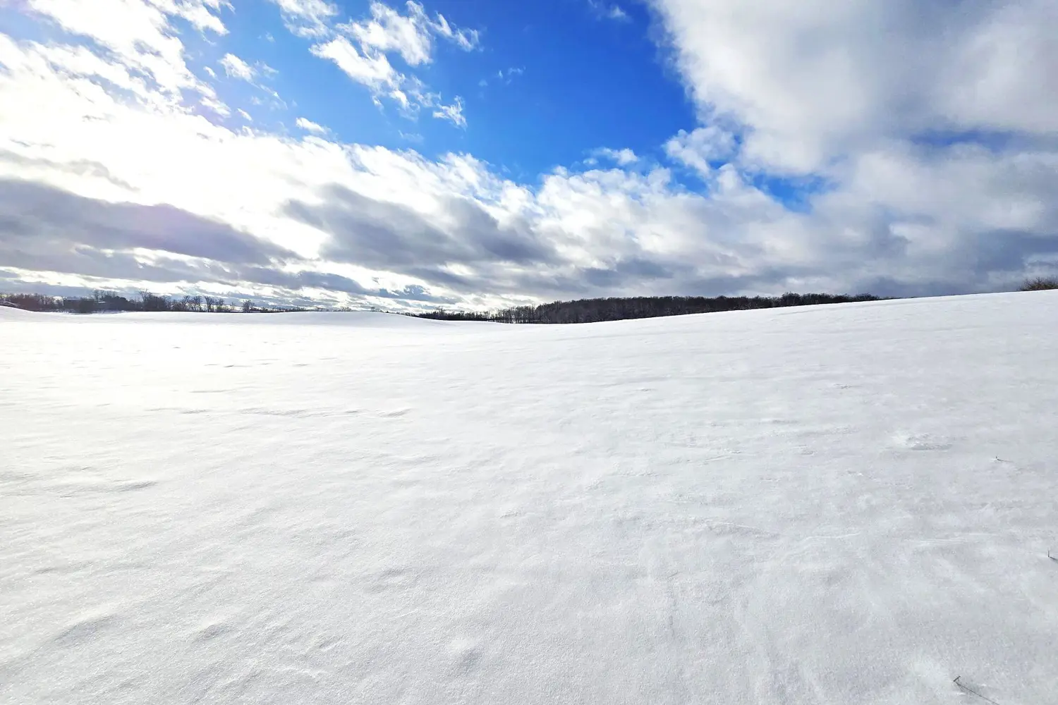 Additional image 12 of 0 Willet Road