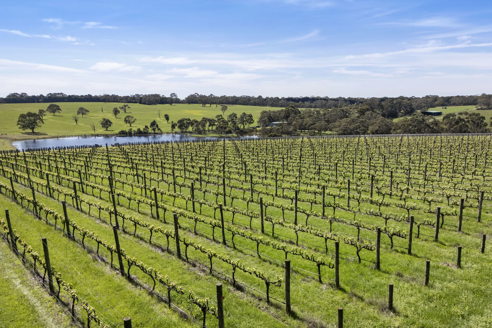 Additional image 4 of 50 Foxeys Road, Tuerong VIC 3915