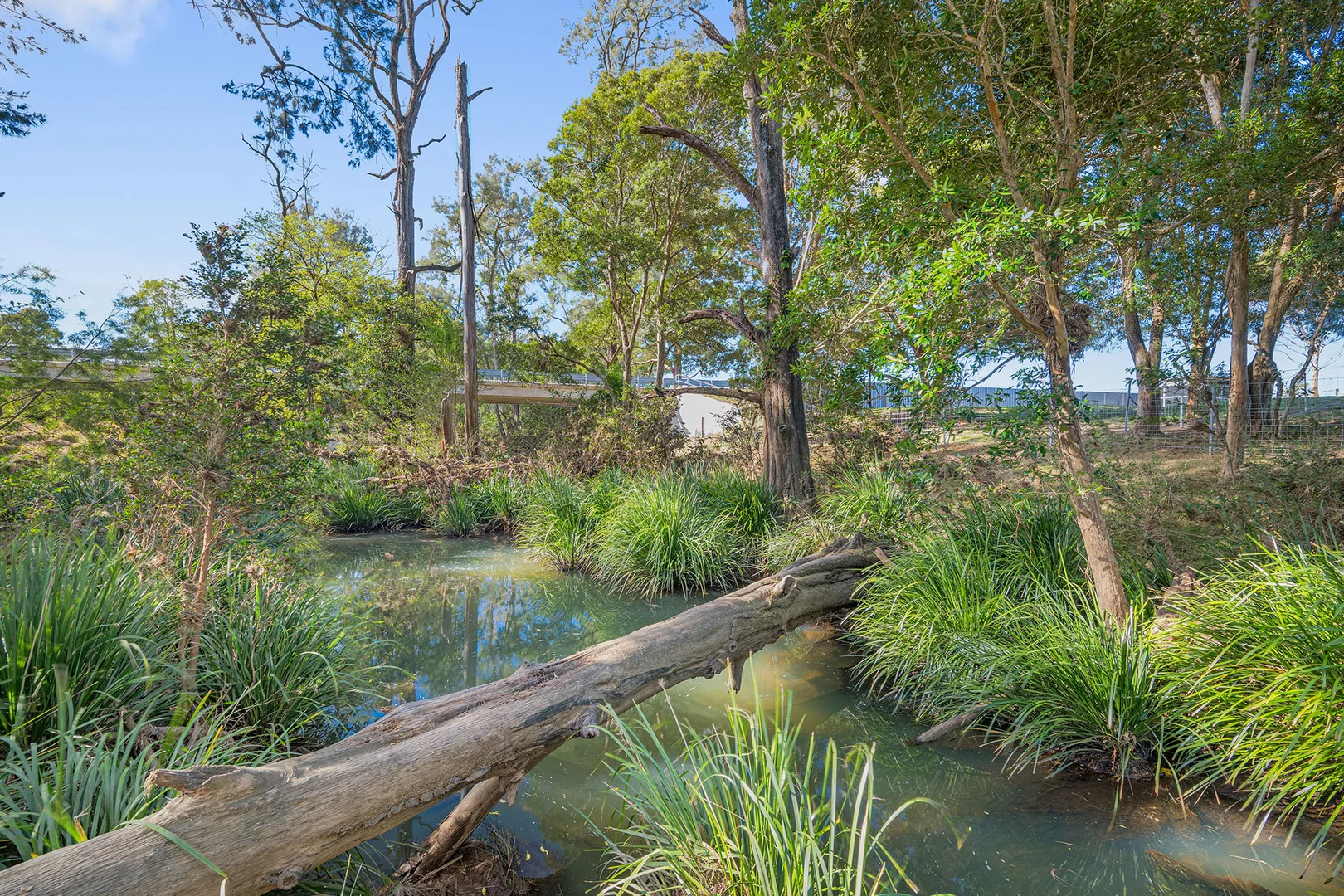 Additional image 26 of 59 Willow Dene Avenue, Beechwood NSW 2446