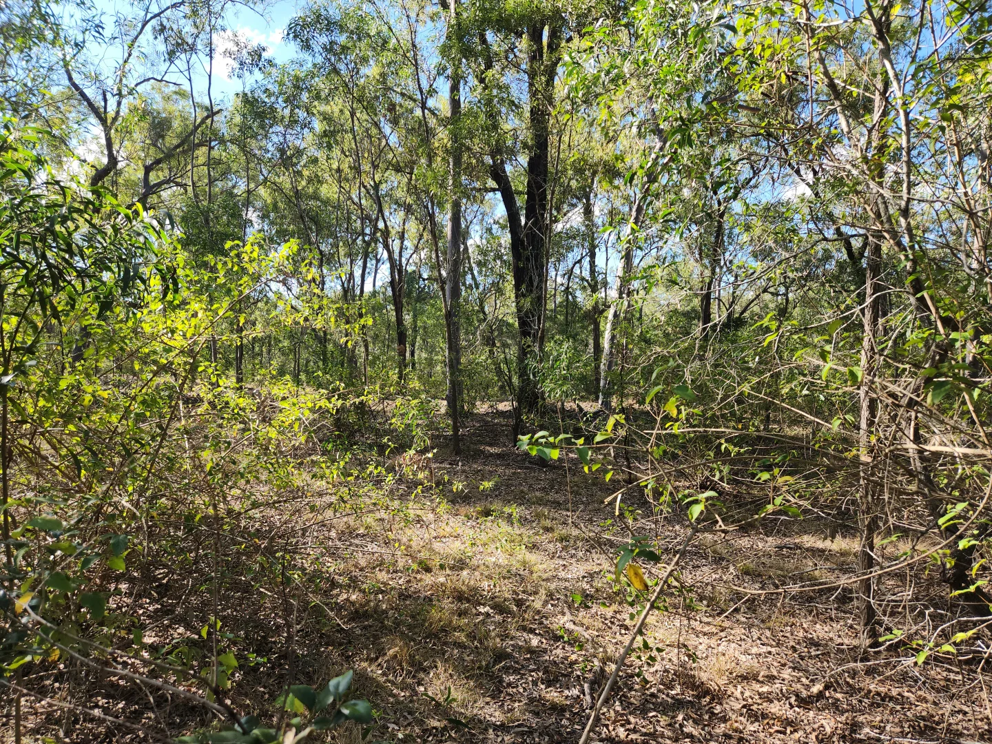 Additional image 6 of Lot 5 Duckpond Road, Moolboolaman QLD 4671