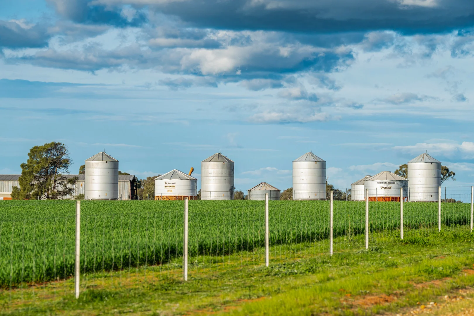 Additional image 16 of 1250 Barracluffs Road, Bidgeemia NSW 2642