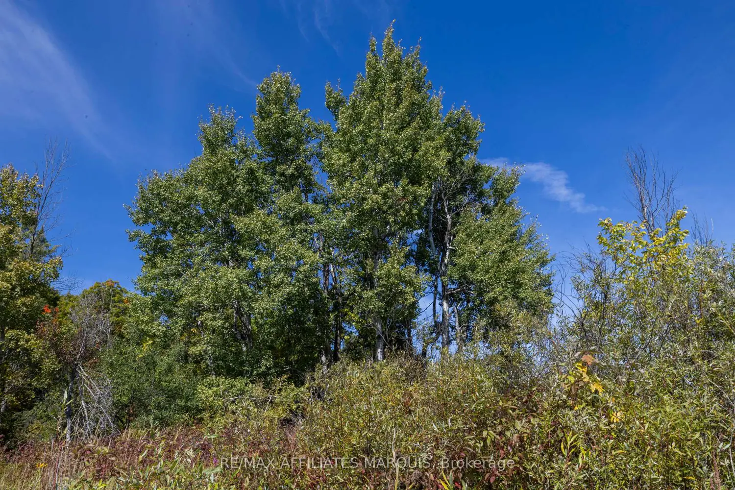 Additional image 2 of 19112 Hwy 7 Highway