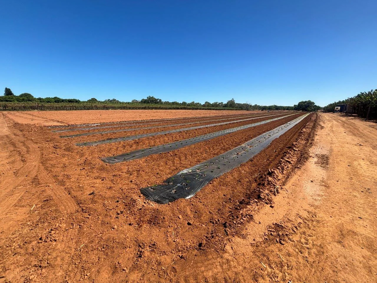 Additional image 25 of 11 Bibbawarra Road, Kingsford WA 6701