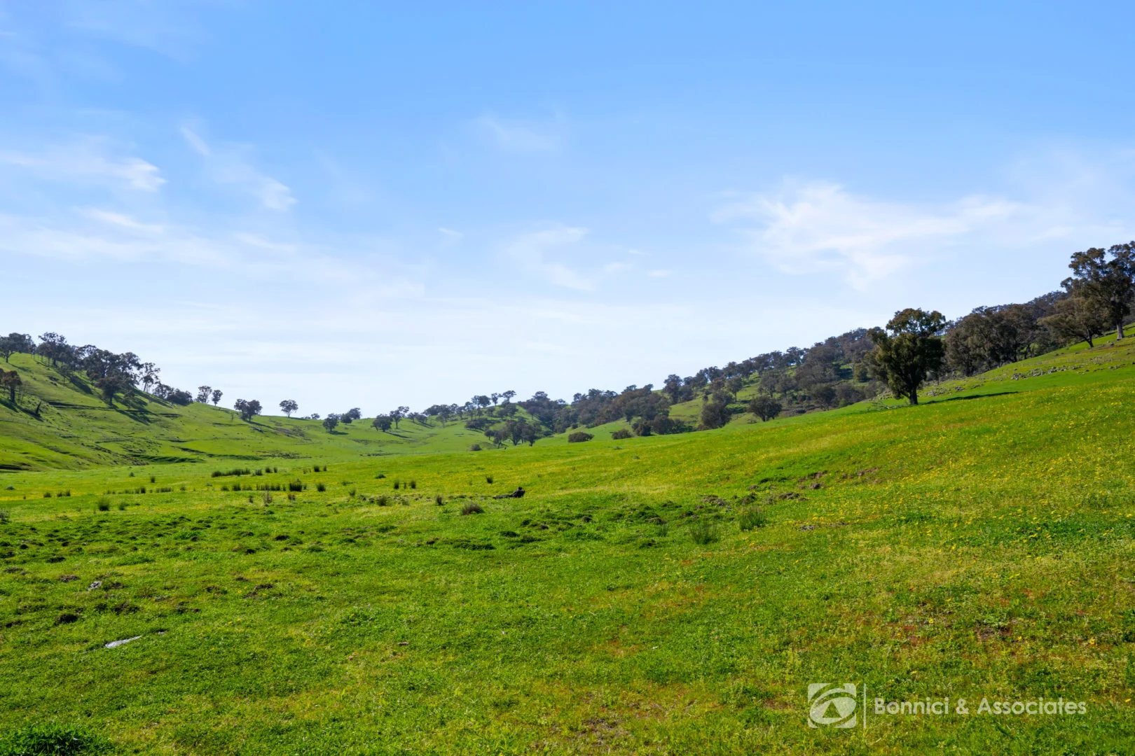 Additional image 2 of "SIRLS" Bethanga Bay Road, Bethanga VIC 3691