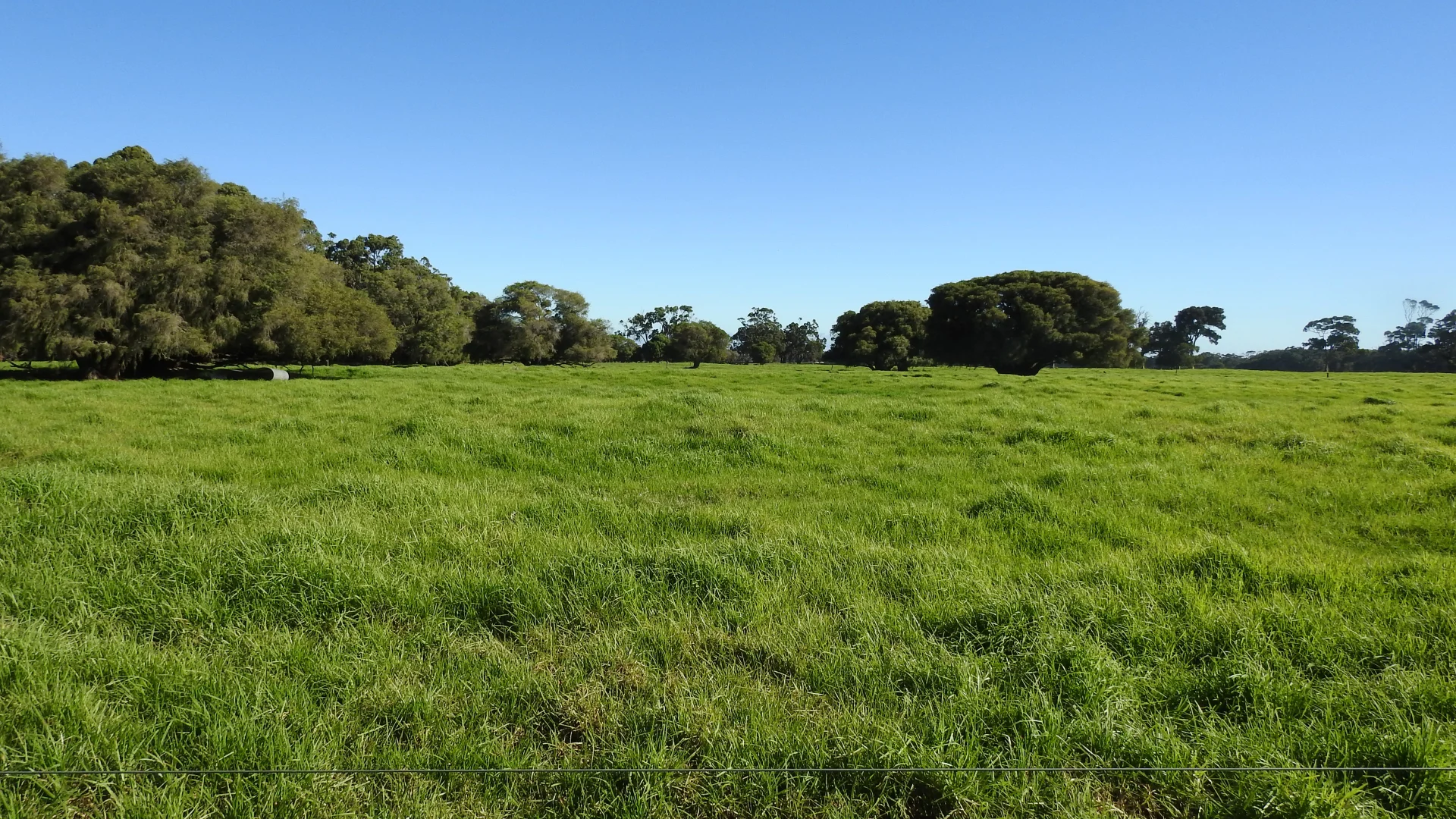 Additional image 3 of Calgardup Road, Forest Grove WA 6286