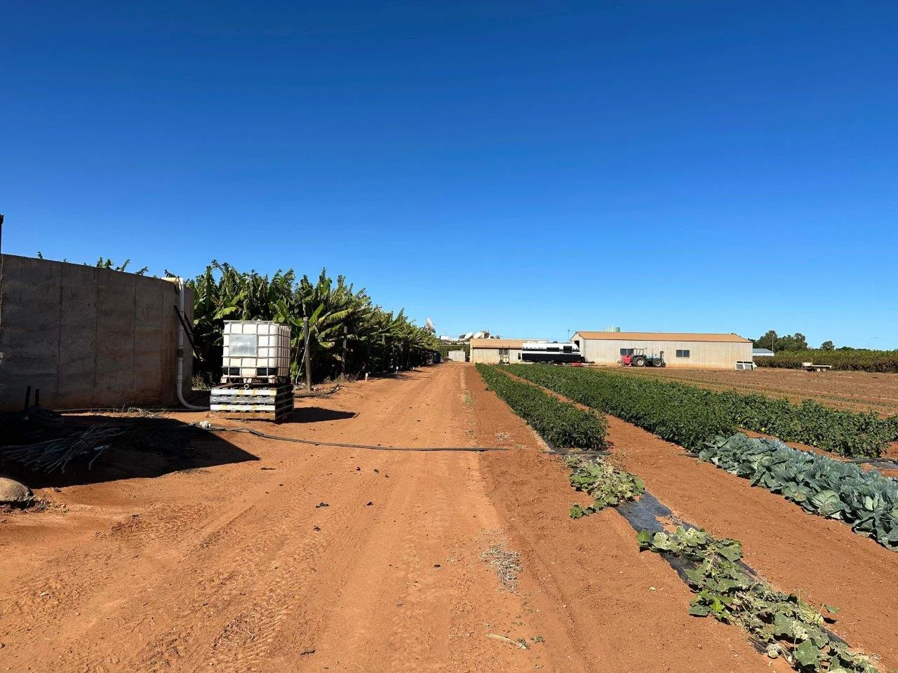 Additional image 23 of 11 Bibbawarra Road, Kingsford WA 6701