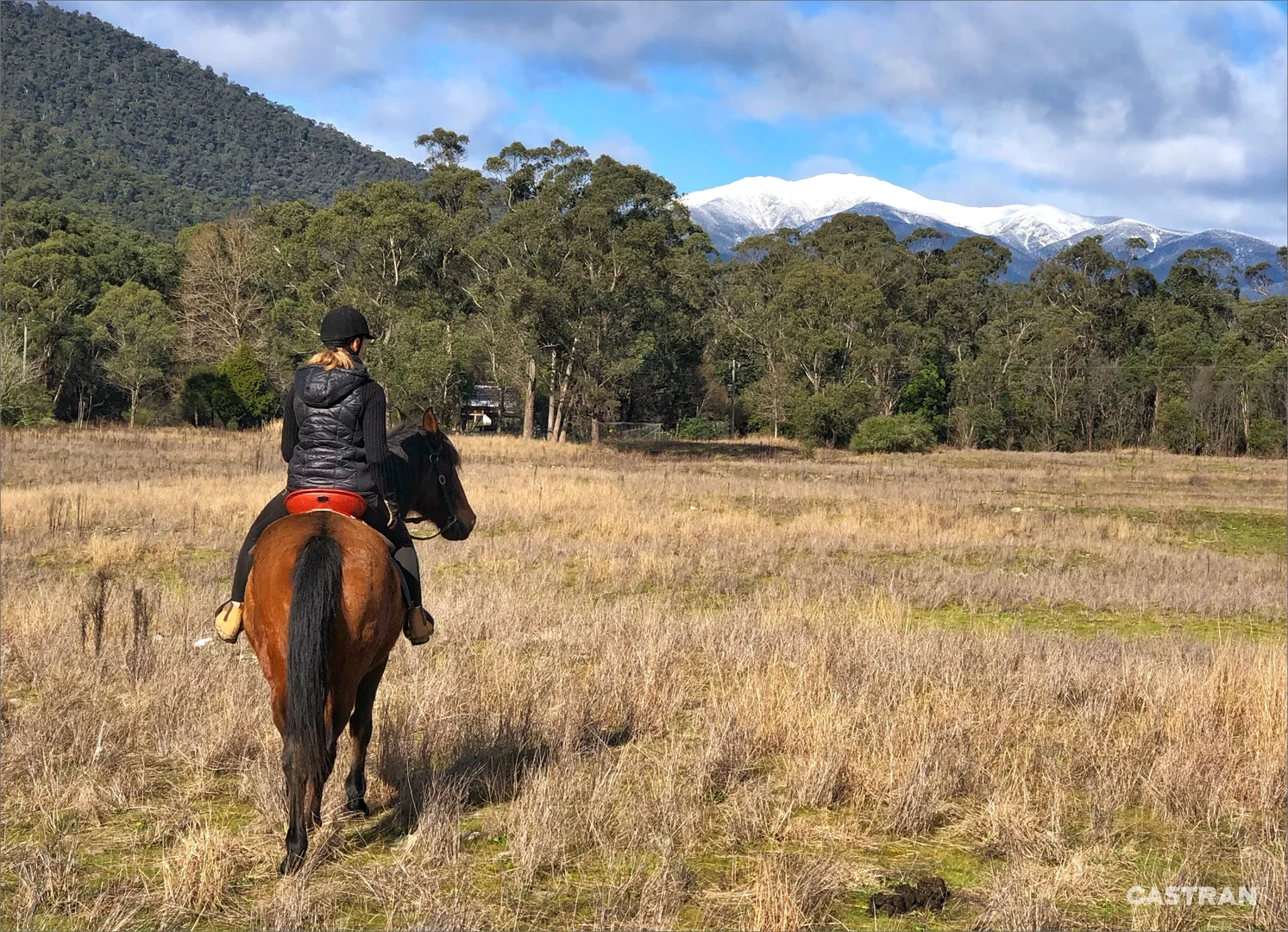 Additional image 25 of 1057 Great Alpine Road, Freeburgh VIC 3741