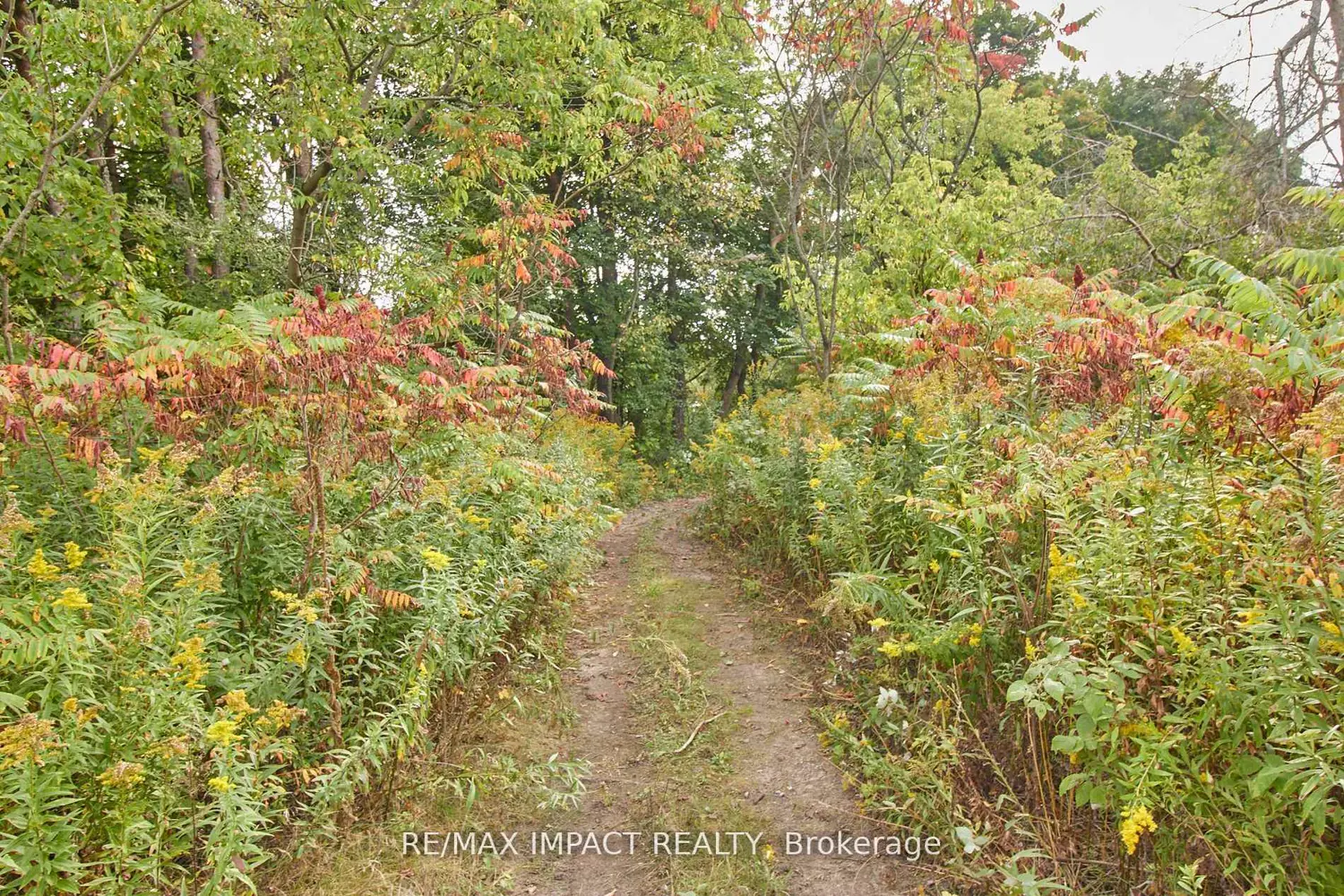 Additional image 14 of 10249 Old Scugog Road