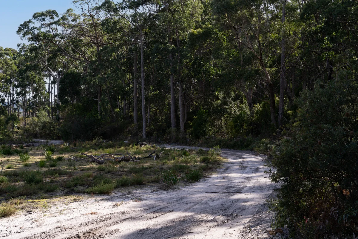 Additional image 15 of Lot 3 White Beach Road, White Beach TAS 7184
