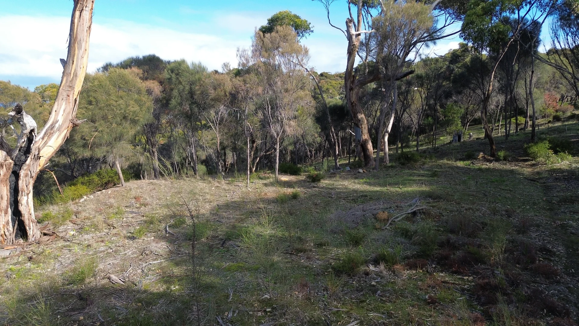 Additional image 5 of 49-51 Falie Court, American River SA 5221