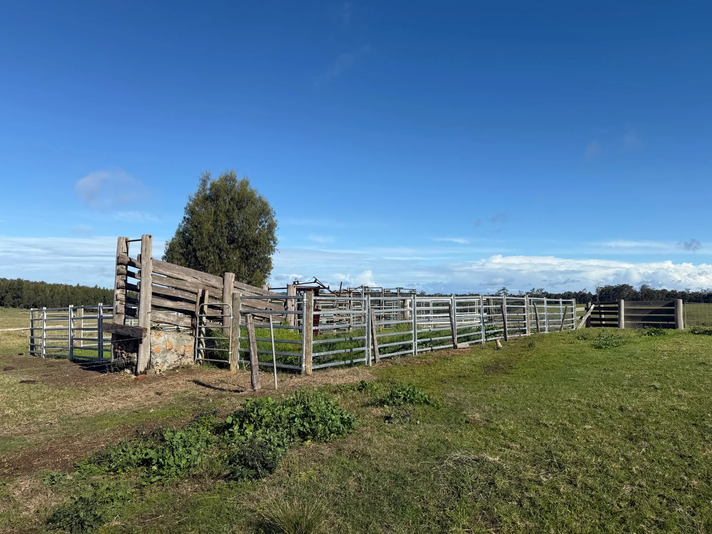 Additional image 12 of 228 Peppermint Grove Road, Middlesex WA 6258