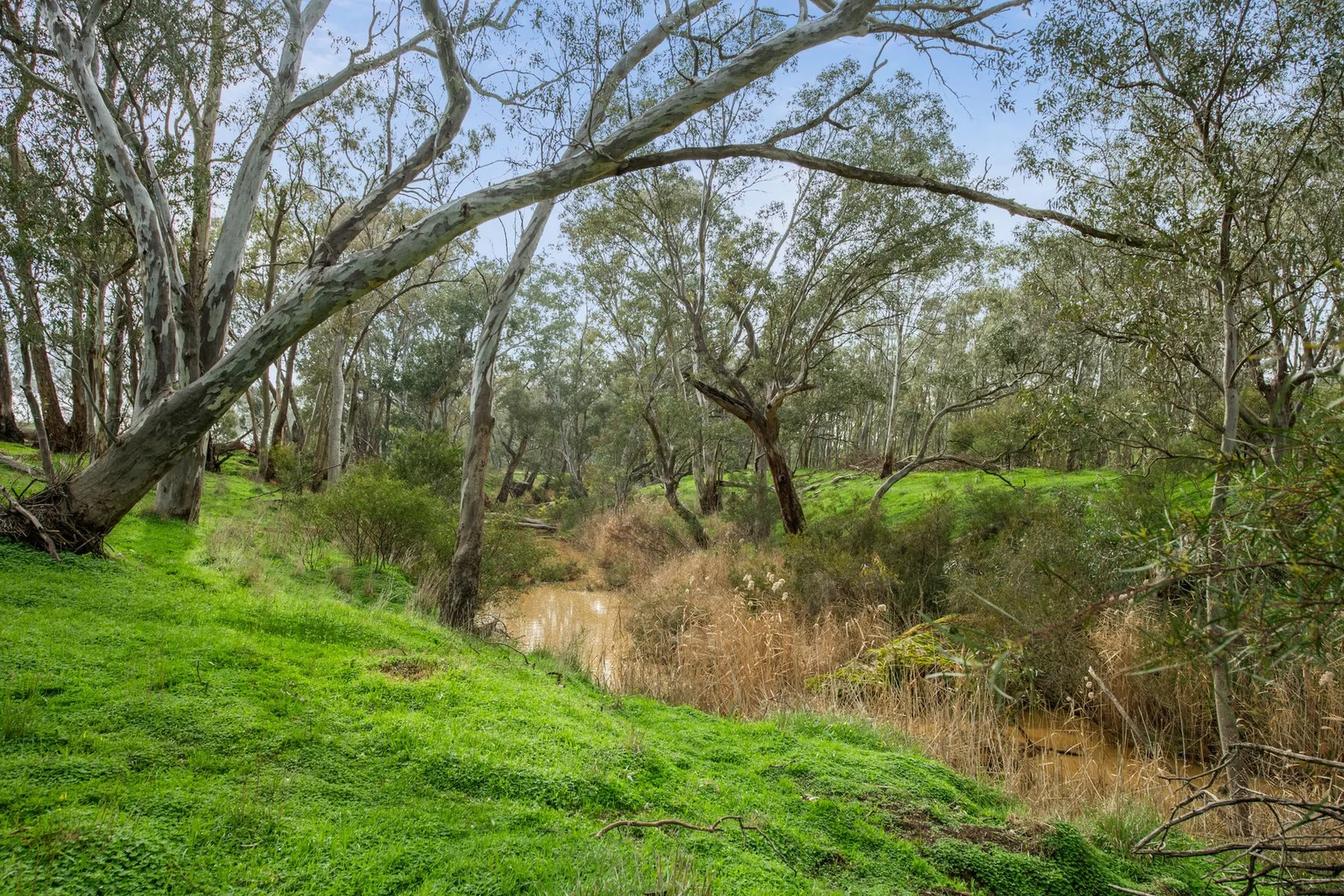 Additional image 24 of 199 Hodges Lane, Longlea VIC 3551