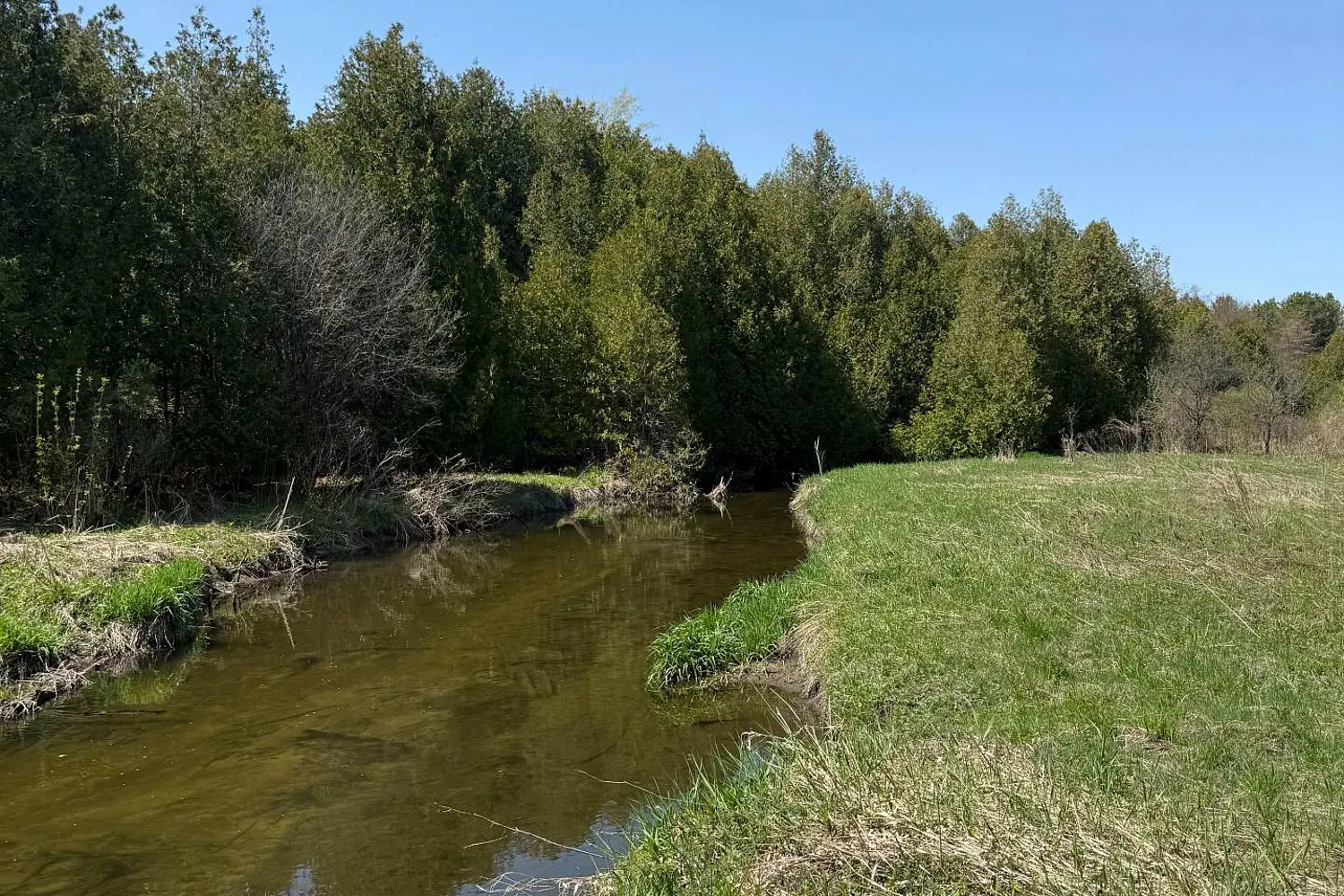 Additional image 5 of 20489 Hurontario Street