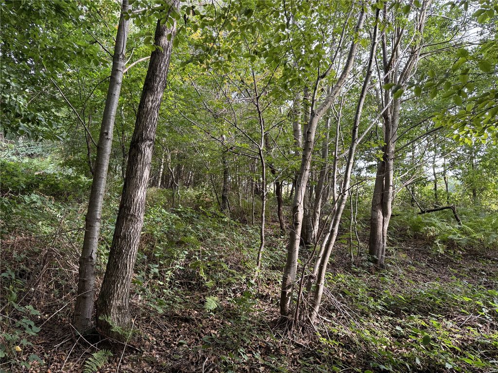 Additional image 5 of Land for saleSwing Gate Hill, Burwash Common, Etchingham, East Sussex TN19