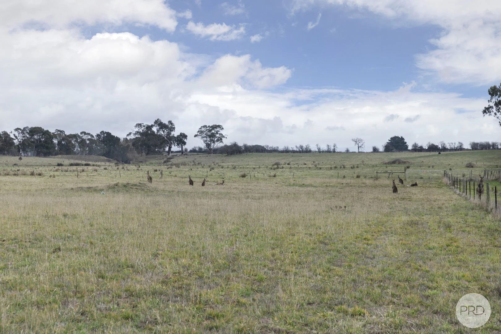 Additional image 5 of Lot 2/170 Buninyong-Mt Mercer Road, Buninyong VIC 3357