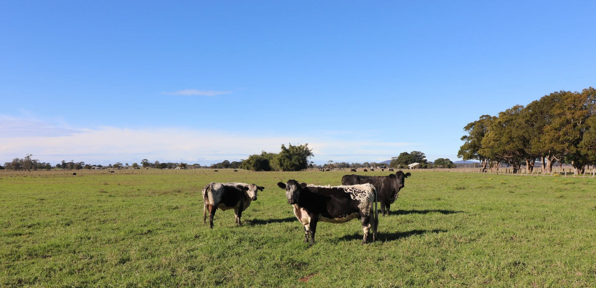 Additional image 6 of Lot/2 Austral Eden Inner Road, Austral Eden NSW 2440