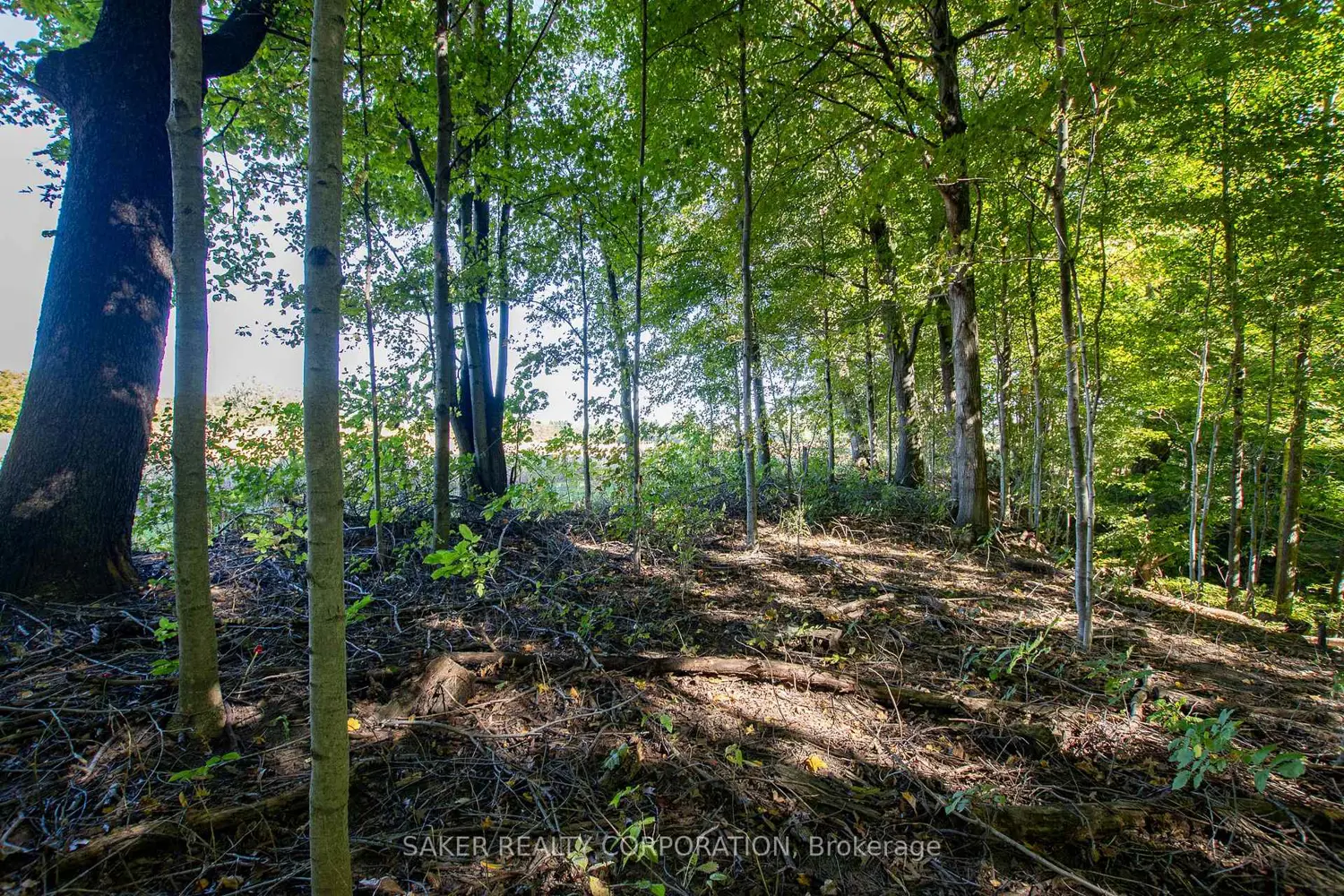 Additional image 7 of 22560 Troops Road