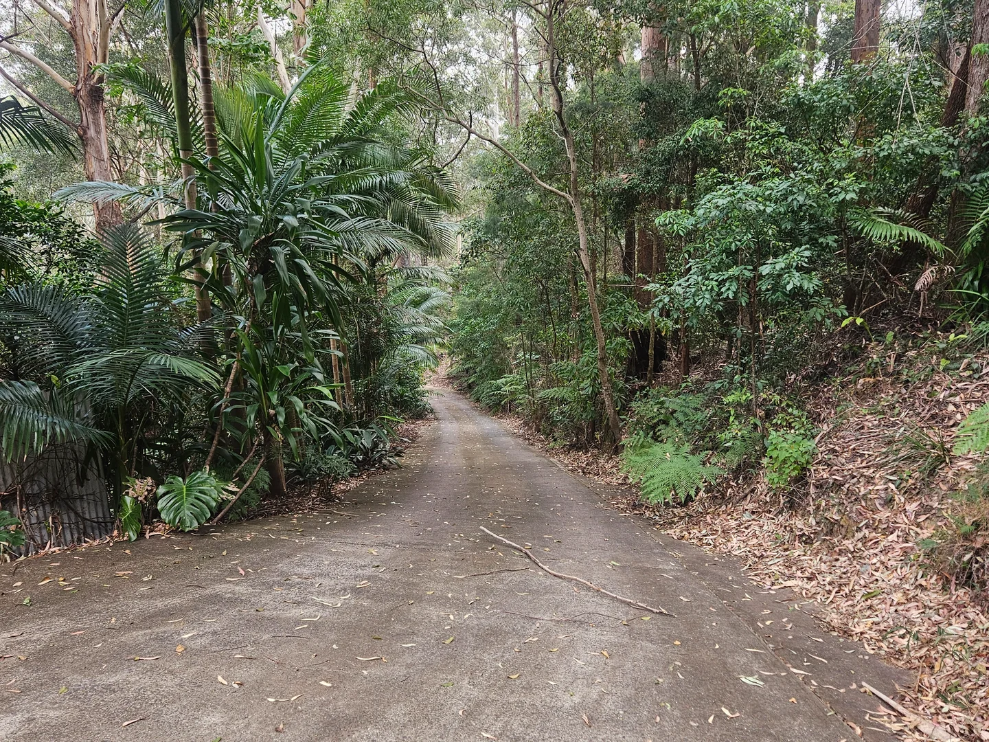 Additional image 11 of 56 Lovetts Road, Korora NSW 2450