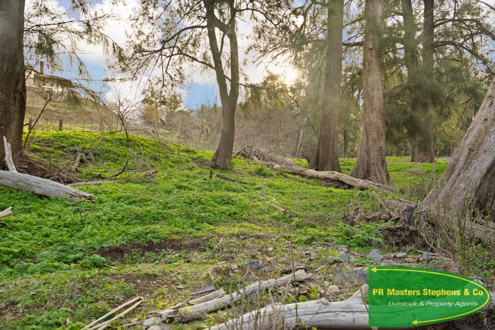 Additional image 9 of 133 Upper Turon Road, Sofala NSW 2795