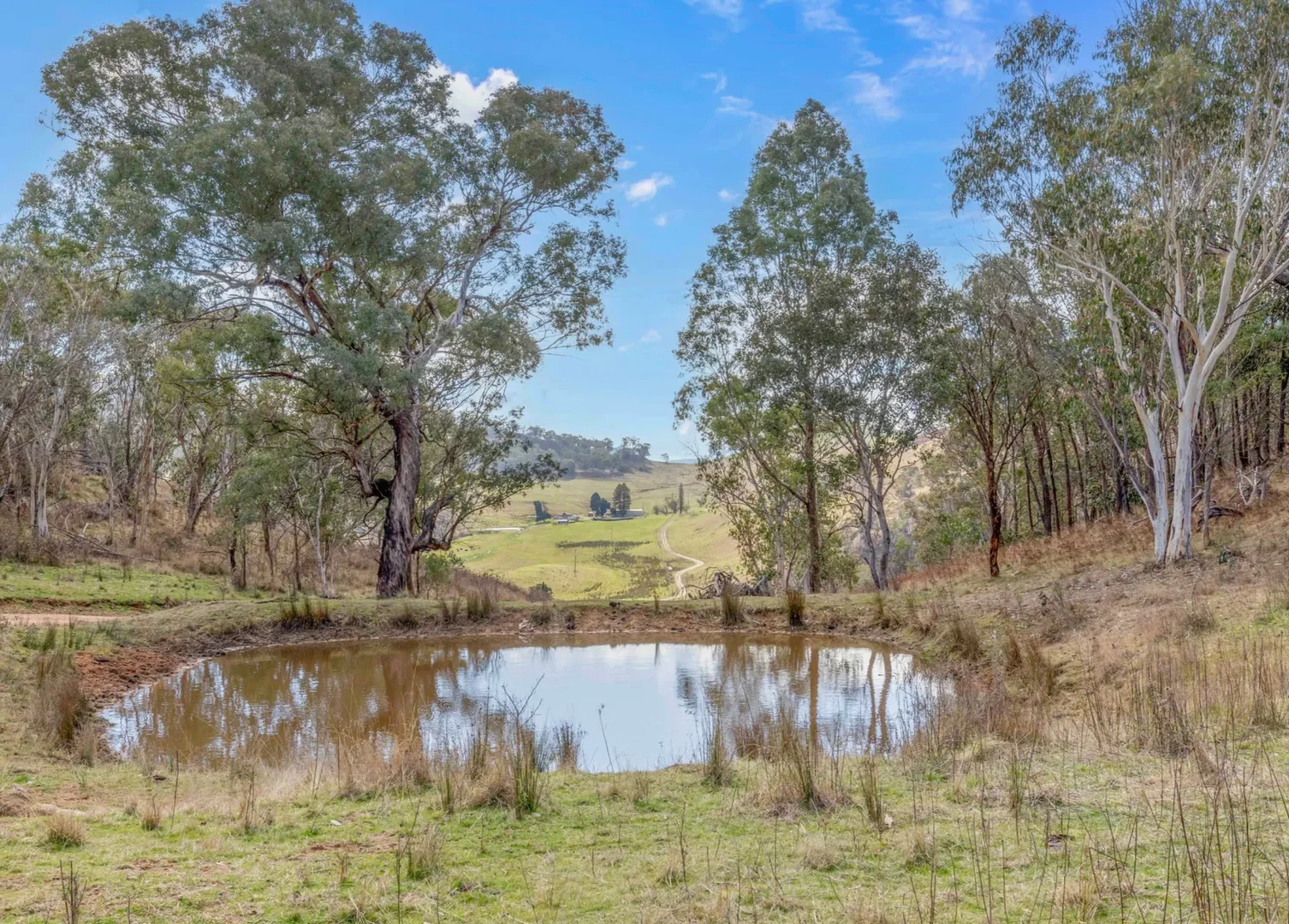 Additional image 21 of 226 Quarry Road, Ben Bullen NSW 2790