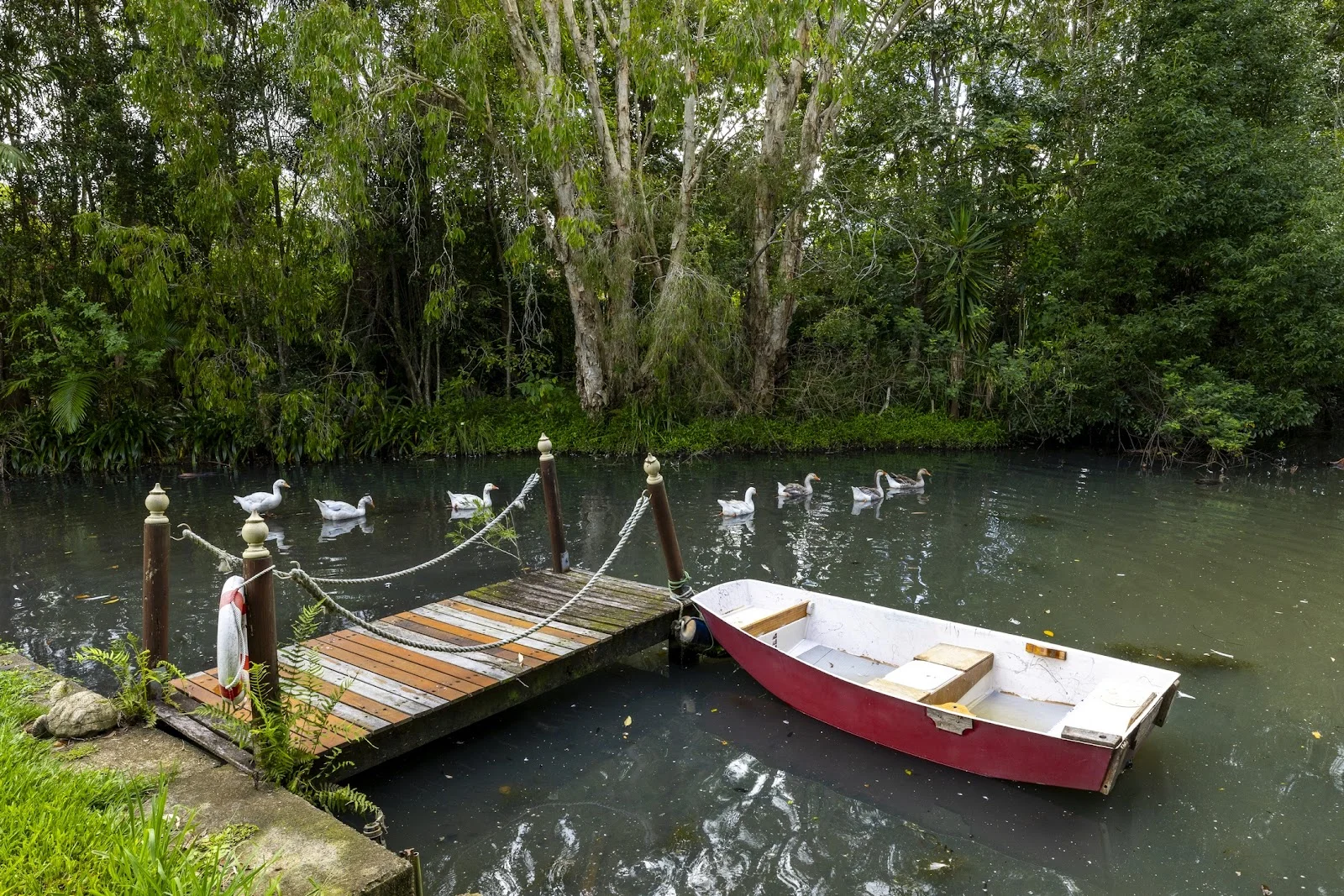 Additional image 31 of 61 Carter Road, Nambour QLD 4560