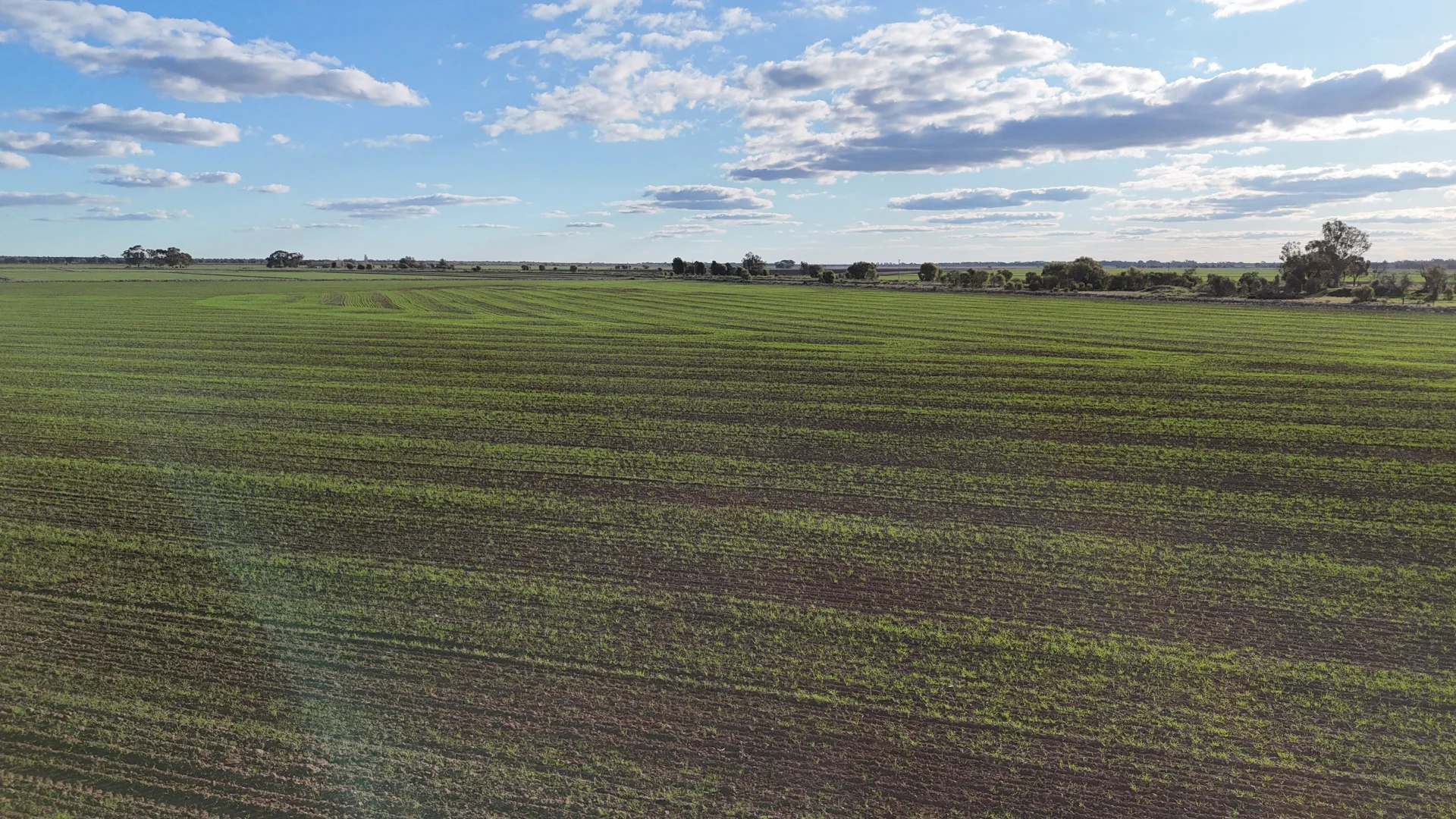 Additional image 19 of Farm 205/347 Fairlie Grange Road, Coleambally NSW 2707