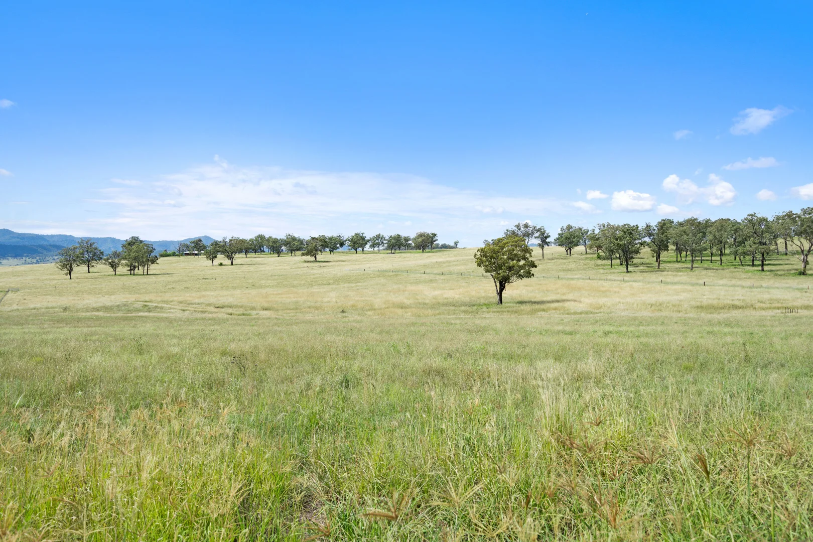 Additional image 17 of Bakewell Circuit, Scone NSW 2337