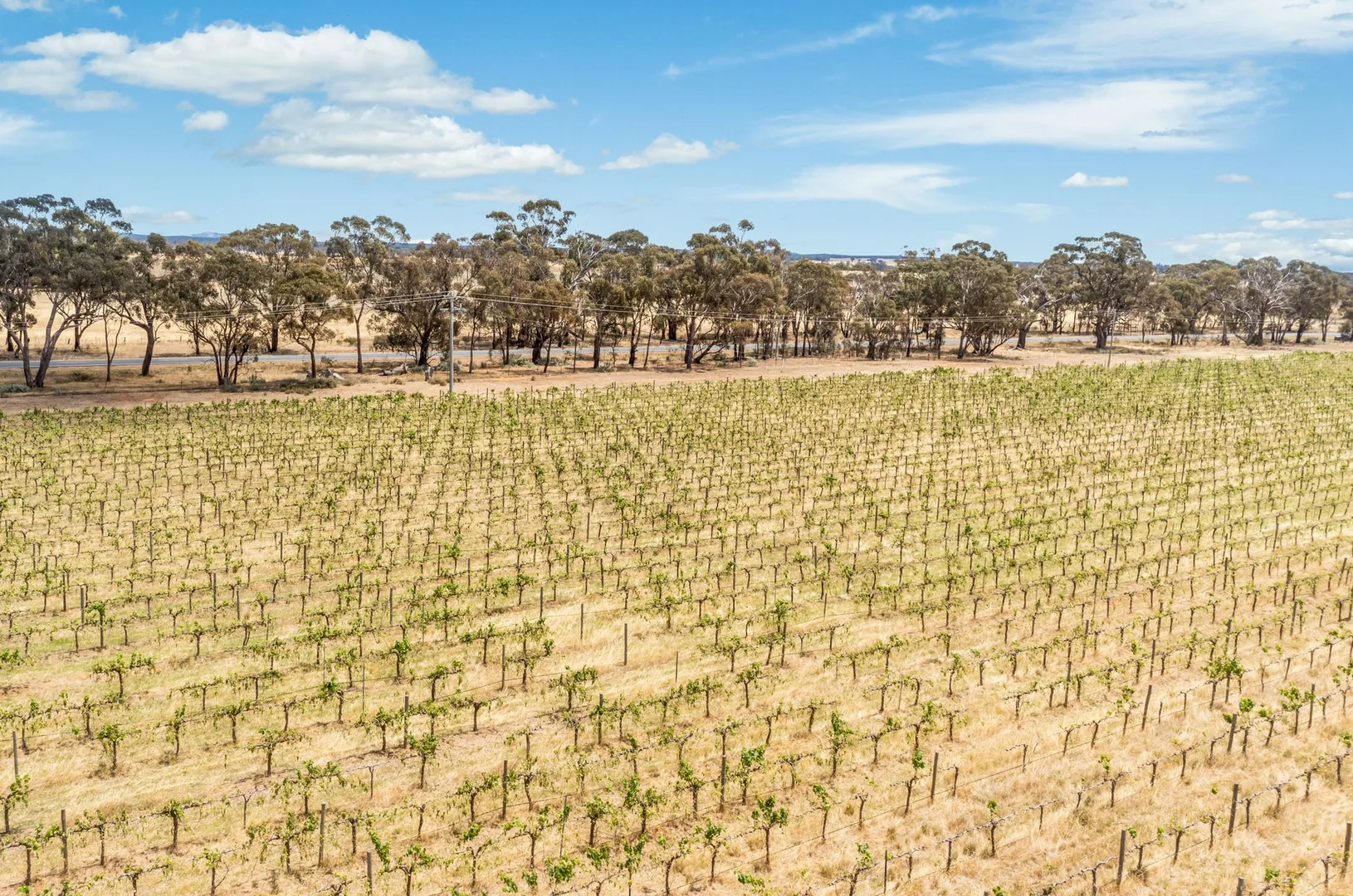 Additional image 2 of Lot 6 Bridgewater-Serpentine Road, Bridgewater On Loddon VIC 3516