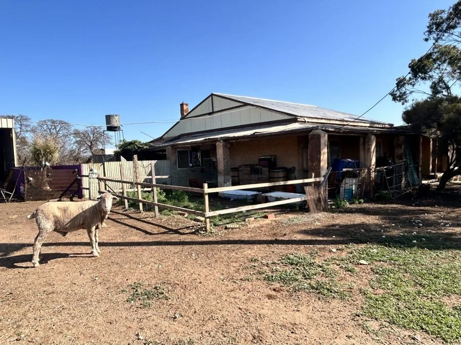 Additional image 6 of Section 114 264 Philips Road, Minbrie SA 5602