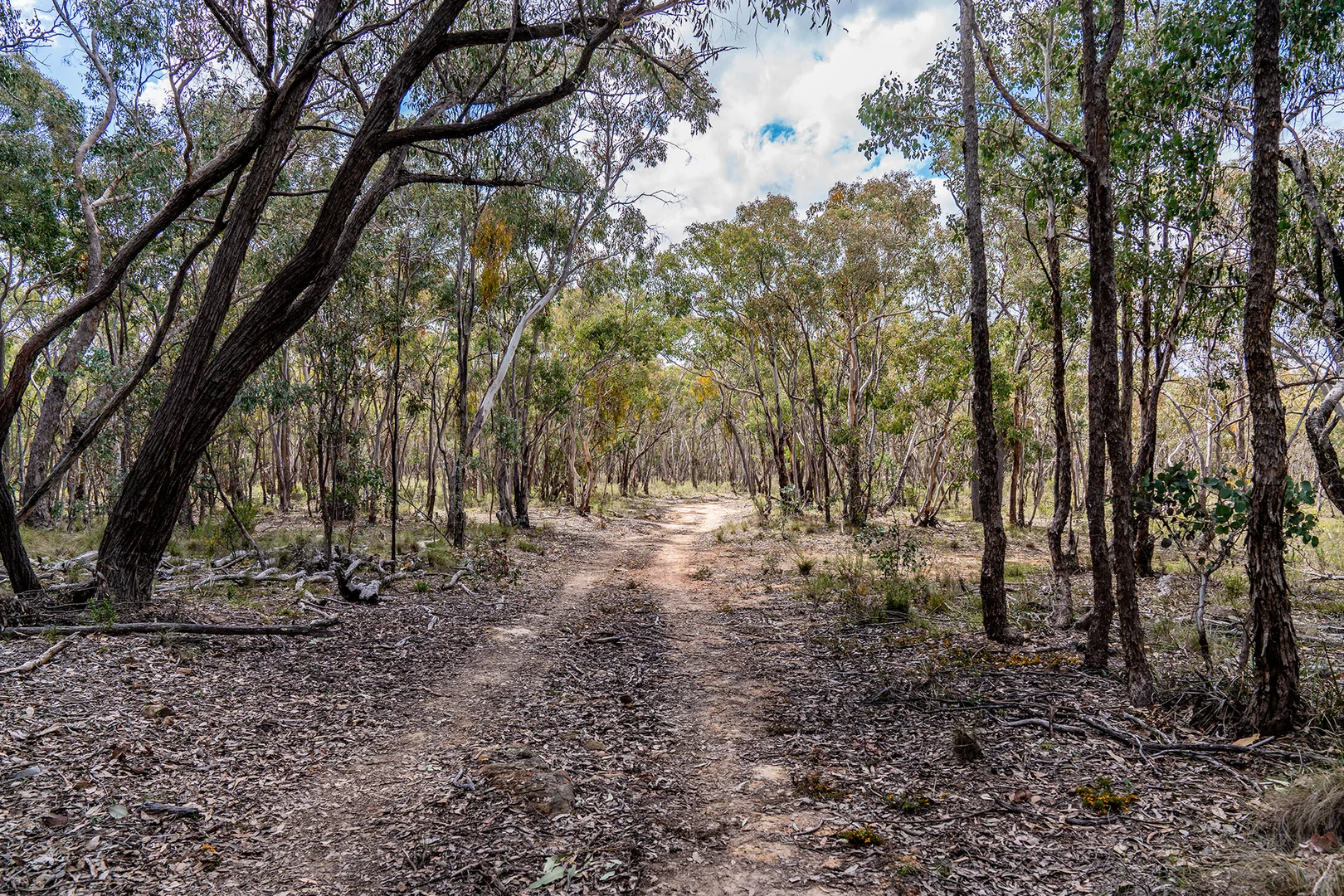 Additional image 16 of 125 Dirt Hole Creek Road, Mudgee NSW 2850