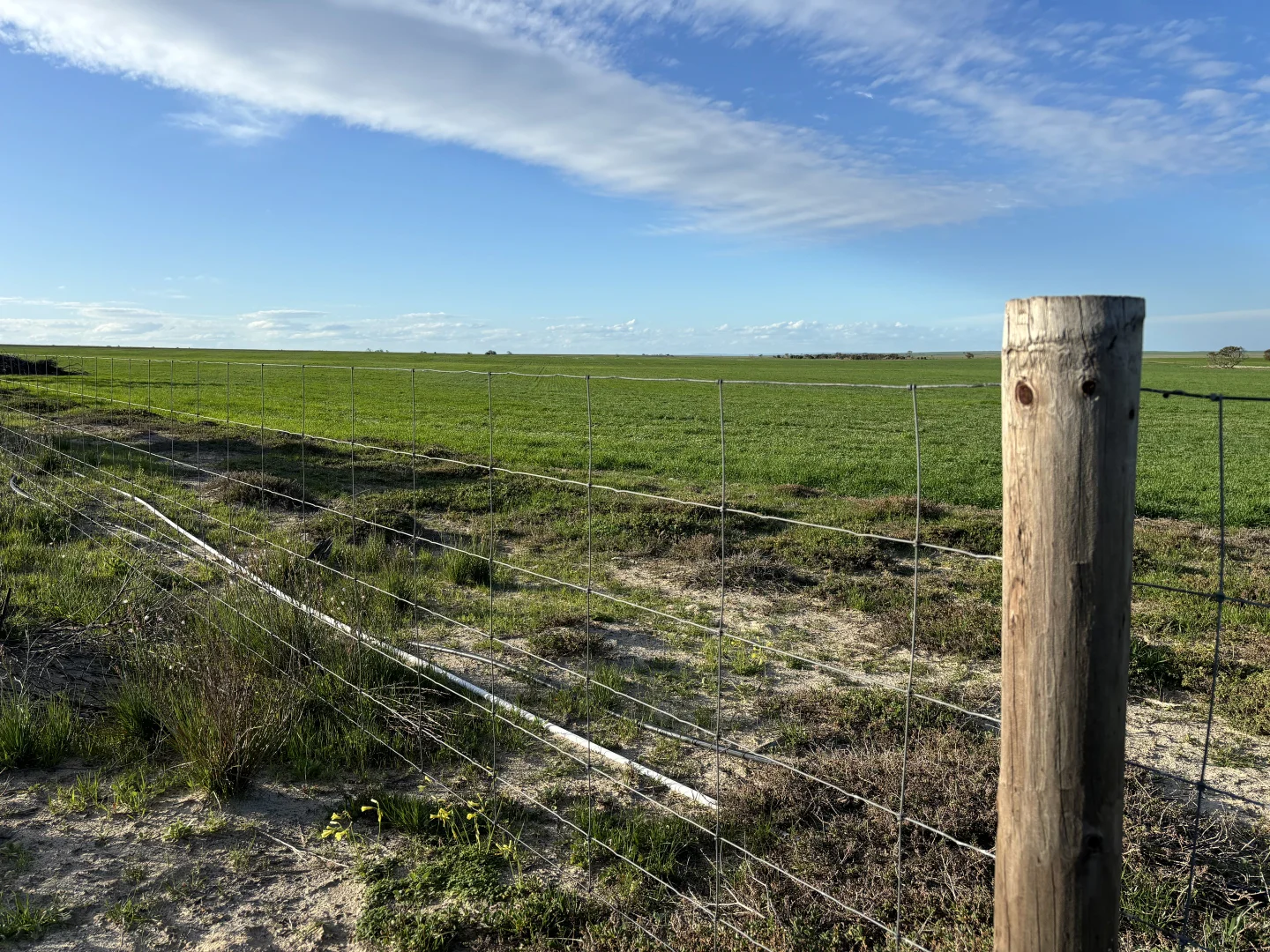 Additional image 6 of Section 82 Chilmans Road, Port Neill SA 5604