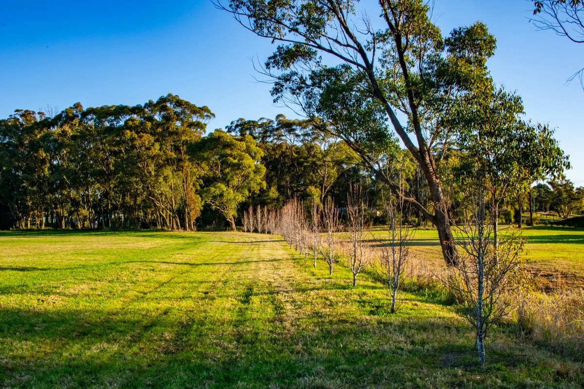 Additional image 33 of 2583 Wisemans Ferry Road, Mangrove Mountain NSW 2250